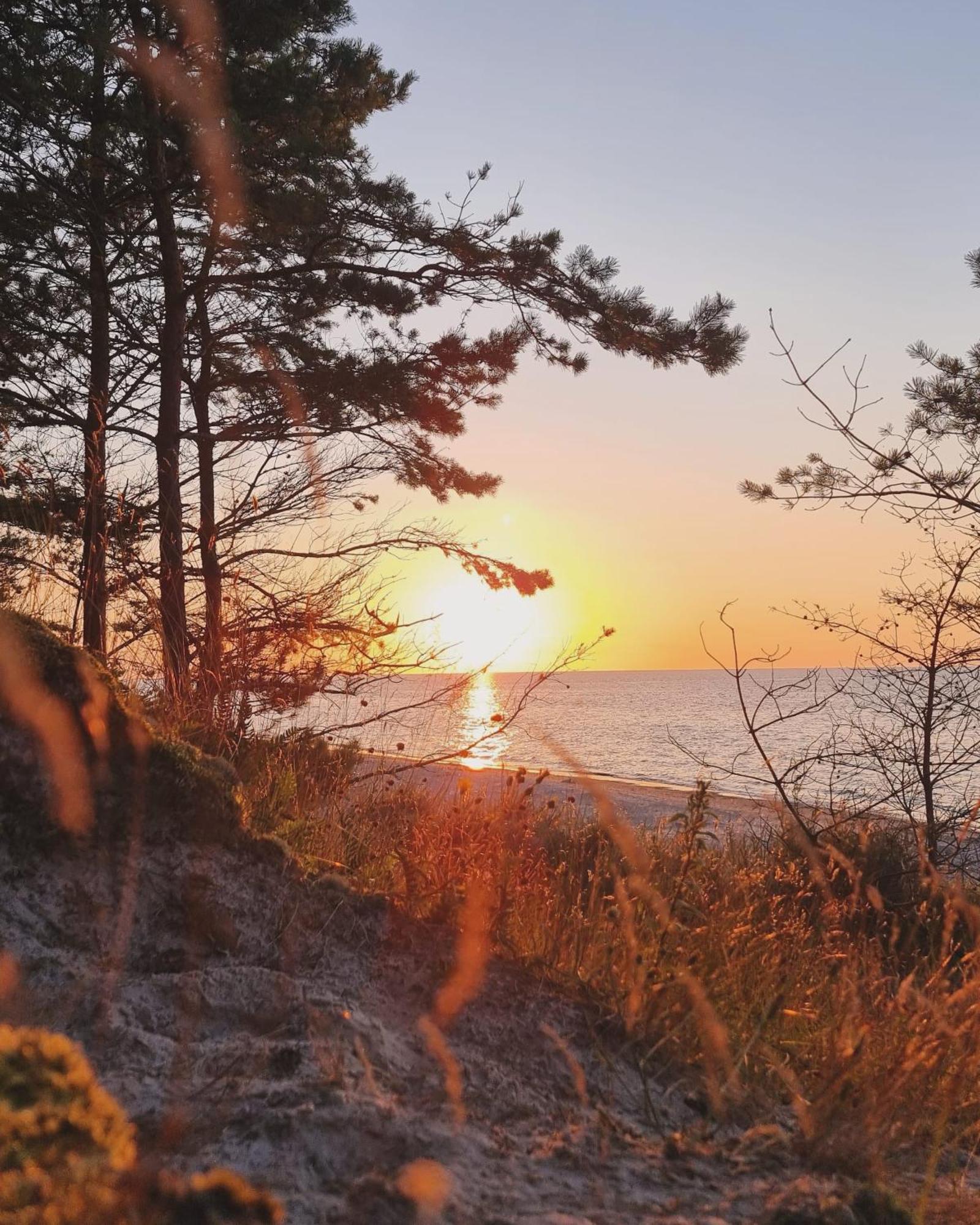 Posesja Apartamenty & Spa - Posesja Plazowa 4A I Гжибово Екстер'єр фото